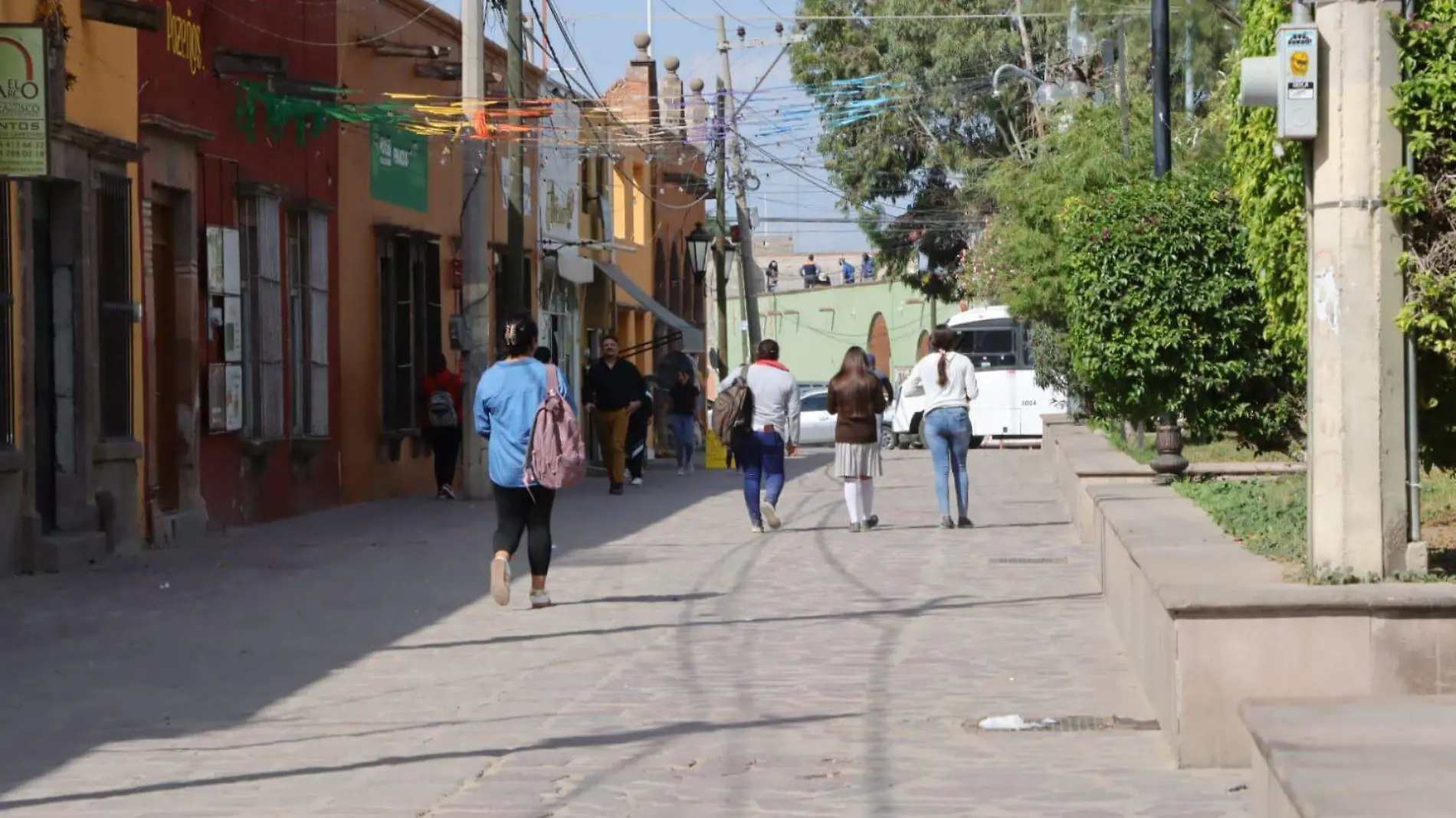 Villa de Pozos (4)